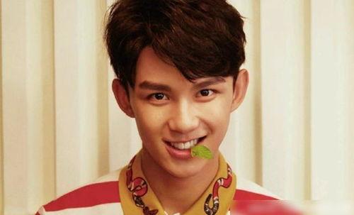 吃瓜娱乐圈吴磊是谁的孩子