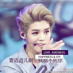 鹿晗表情包 老娘,老娘风潮席卷网络，笑点满满